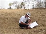 Consultor ambiental